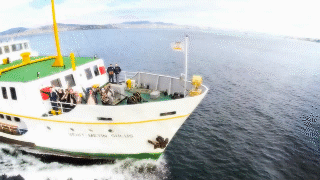 005YUVH1gw1eqowb0jehcg308w050e81