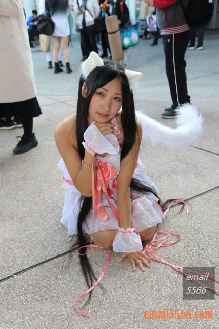 FF35-ღ 毛毛喵 ღ-香港COSER