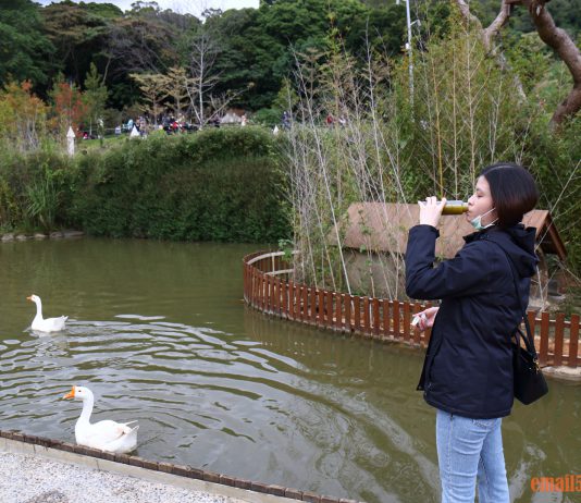 膳食纖維 排便順暢 高效率生活-全清ALLKLEAR高纖新沙拉2.0