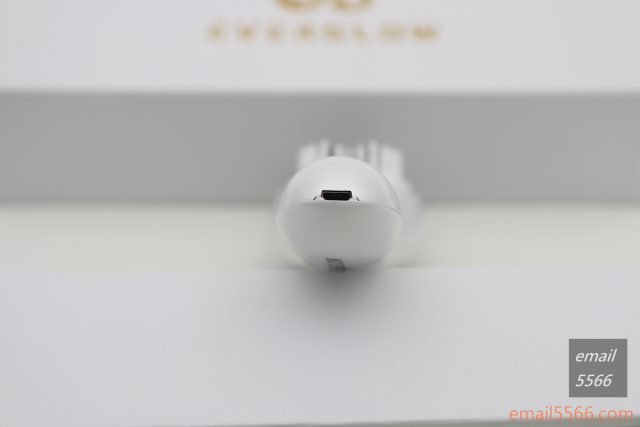 隨時隨用 頭皮護理 EVERGLOW 頭皮保養導入梳